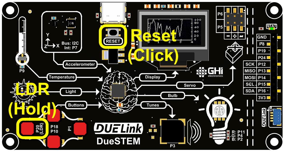duestem Reset