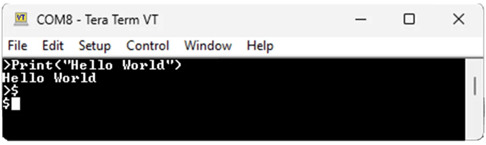 Tera Term Record Mode