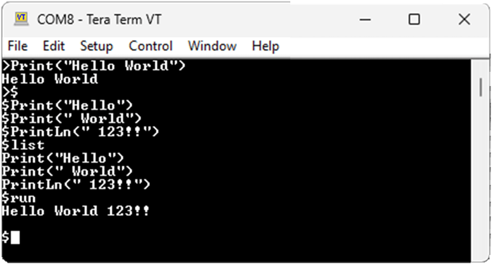 Tera Term Run