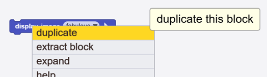 block duplicate
